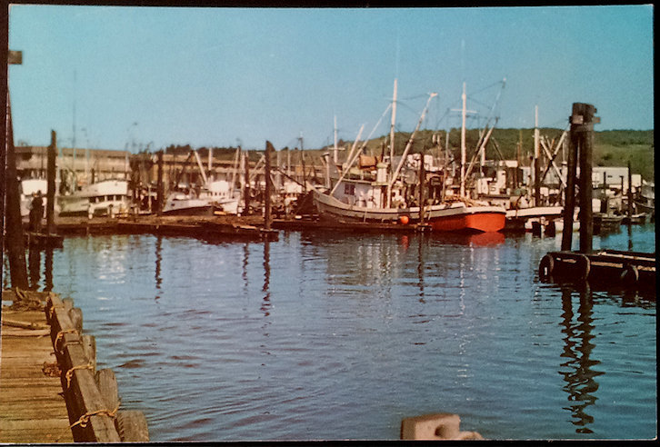 (image for) postcard USA - AK - Alaska #0003